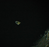 © A. Murner; Saturnbedeckung durch den Mond am 03.11.2001 zwischen 22:00 Uhr und 23:10 Uhr. Aufgenommen mit einer Olympus C 2020 zoom an einem Skywatcher Newton 200/1000, Okularprojektion mit einem 5 mm Easyview-Okular.