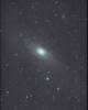 © S. Bergthal; M 31 = Andromeda-Galaxie (Andromedanebel); unter dem Kern: M 32, über dem Kern: M110