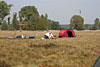 © N. Kloth; 8. IHT-Reinsehlen vom 26. - 28. September 2008: Zelt aufbauen geht in ca. 2 Sekunden, abbauen nicht ohne Anleitung, aber dennoch ohne Probleme.